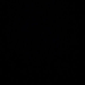 Meet your Posher, Максим